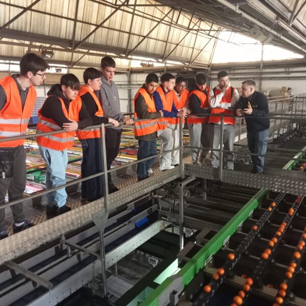 Empresa Frutas Drago - Alfredo Carrillo