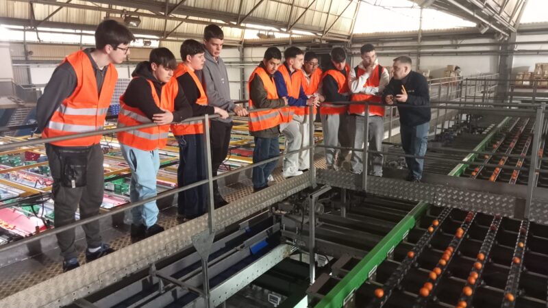 Empresa Frutas Drago - Alfredo Carrillo