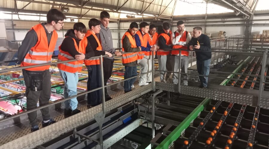 Empresa Frutas Drago - Alfredo Carrillo