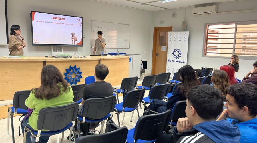 WhatsApp Image 2026-03-16 at 11.22.080